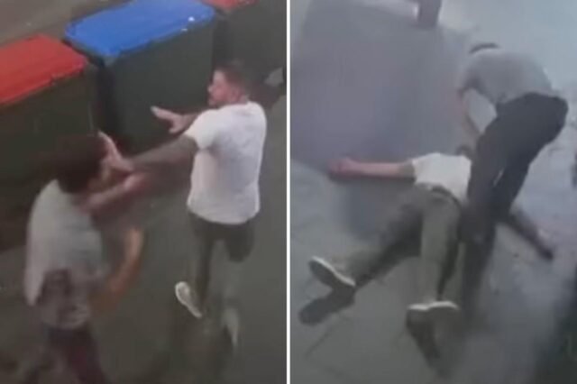 coogee-fight-comp.jpg