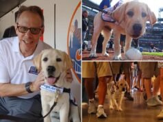 Vi presentiamo l’adorabile e soffice erede dell’eredità di Howie Rose, che sta già conquistando il Citi Field