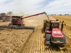La guerra dei droni spiegata: cosa significa il caos nel Mar Nero per i coltivatori di cereali australiani