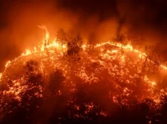 “Tutto quello che potevamo vedere era rosso”: gli incendi che soffocano il Borneo indonesiano