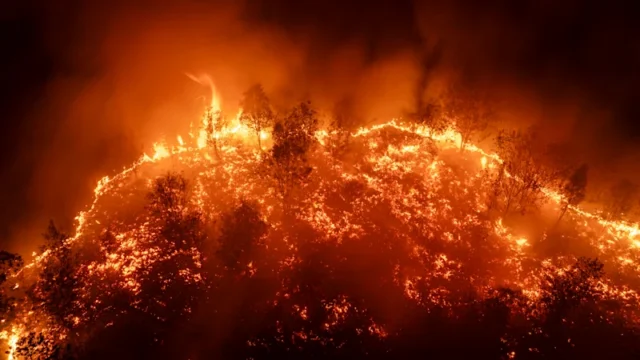 “Tutto quello che potevamo vedere era rosso”: gli incendi che soffocano il Borneo indonesiano “Tutto quello che potevamo vedere era rosso”: gli incendi che soffocano il Borneo indonesiano