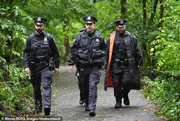 Una donna di New York viene trovata pugnalata a morte con trauma cranico a Central Park durante una forte tempesta di nord-est Una donna di New York viene trovata pugnalata a morte con trauma cranico a Central Park durante una forte tempesta di nord-est