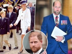 Perché il principe William non prenderà parte ai film sulla principessa Diana – mentre circolano voci sui piani del documentario del principe Harry