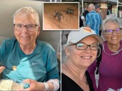 Una donna di 80 anni della Florida muore di febbre dengue proprio il giorno del suo compleanno: «Ho incontrato la zanzara sbagliata»
