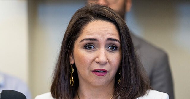 “Latino Power”: la deputata Delia Ramirez vuole abolire il DHS e creare un’agenzia per l’immigrazione “per la sicurezza della comunità” “Latino Power”: la deputata Delia Ramirez vuole abolire il DHS e creare un’agenzia per l’immigrazione “per la sicurezza della comunità”