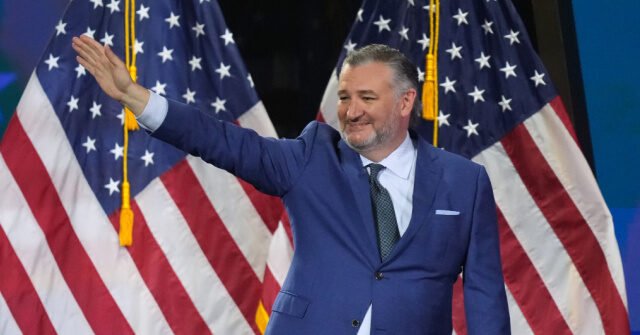 Ted-You-Suck_-640x335.jpeg
