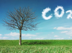 I crediti di carbonio alimentano la spinta dell’Africa verso una cottura pulita