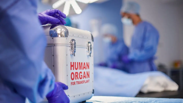 organdonation-three-1788336194589_d.png