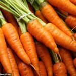 Frutta e verdura sono fino al 50% meno nutrienti rispetto agli anni ’60, suggeriscono gli scienziati