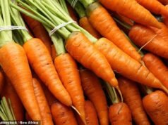 Frutta e verdura sono fino al 50% meno nutrienti rispetto agli anni ’60, suggeriscono gli scienziati