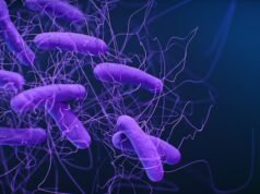 Avvertimento sull’aumento del virus intestinale letale diffuso da alimenti contaminati con feci