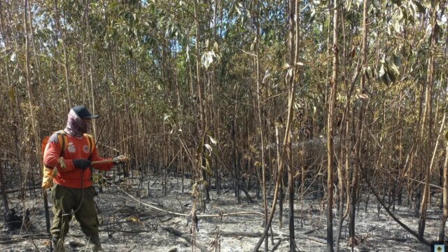 Prabowo sborsa 200 miliardi di IDR per gestire gli incendi boschivi e terrestri nel sud di Sumatra