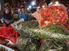 I prezzi del peperoncino in Papua raggiungono i 250mila IDR al kg, il viceministro dell’Agricoltura chiede al governo regionale e alla BUMD di intervenire: intervenite!
