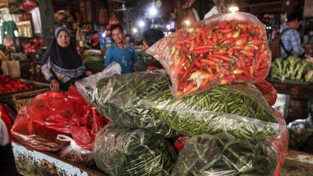 I prezzi del peperoncino in Papua raggiungono i 250mila IDR al kg, il viceministro dell’Agricoltura chiede al governo regionale e alla BUMD di intervenire: intervenite! I prezzi del peperoncino in Papua raggiungono i 250mila IDR al kg, il viceministro dell’Agricoltura chiede al governo regionale e alla BUMD di intervenire: intervenite!