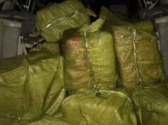 Bareskrim fa irruzione in 9 depositi di droga nel nord di Sumatra, 36 persone arrestate!