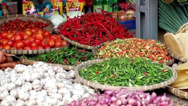 Questo è il motivo per cui a Jayapura il prezzo dei peperoncini ha raggiunto i 120mila IDR al chilogrammo Questo è il motivo per cui a Jayapura il prezzo dei peperoncini ha raggiunto i 120mila IDR al chilogrammo