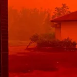 4 mesi circondato dal fumo degli incendi boschivi e terrestri, il governo ha esortato a creare campi di ossigeno per bambini e anziani