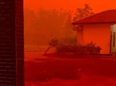 4 mesi circondato dal fumo degli incendi boschivi e terrestri, il governo ha esortato a creare campi di ossigeno per bambini e anziani