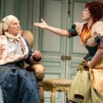 The Imaginary Invalid Broadway Review: Bill Irwin perde qualcosa nella traduzione