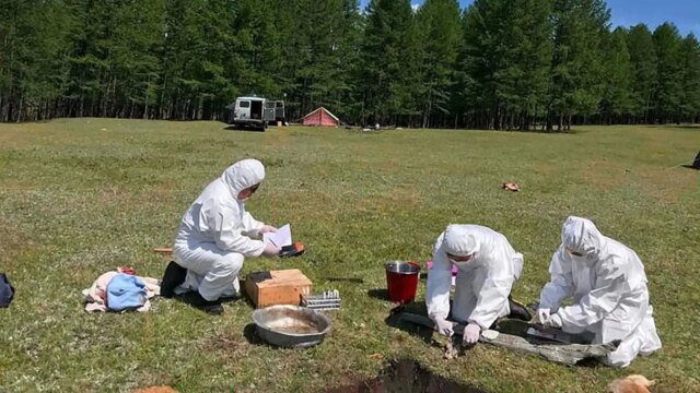 La morte misteriosa nel laboratorio russo della peste innesca ampie precauzioni mentre gli Stati Uniti osservano da vicino La morte misteriosa nel laboratorio russo della peste innesca ampie precauzioni mentre gli Stati Uniti osservano da vicino