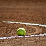 GUARDA: Genitori arrestati dopo una feroce rissa alla partita di softball di un dodicenne