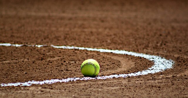 GUARDA: Genitori arrestati dopo una feroce rissa alla partita di softball di un dodicenne GUARDA: Genitori arrestati dopo una feroce rissa alla partita di softball di un dodicenne
