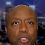Tim Scott dice che i candidati democratici di medio termine sono “pericolosi, radicali e strani”