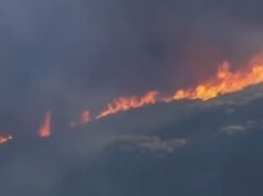 L’incendio di Malibu scatena ordini di evacuazione mentre l’incendio raggiunge 80 acri
