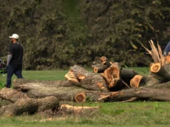 Il giudice ordina all’amministrazione Trump di rispondere della rimozione degli alberi sul campo da golf di Washington