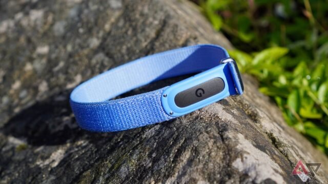 fitbit-air-logo-module.JPG