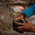 Ripristinare la natura è la chiave per un futuro più resiliente