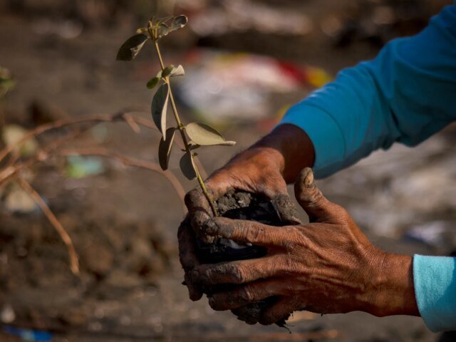 Ripristinare la natura è la chiave per un futuro più resiliente