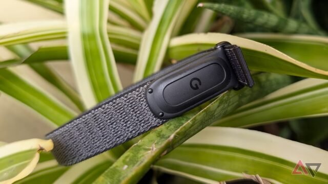 Il prossimo Fitbit di Google potrebbe darti uno schermo senza il bagaglio dello smartwatch