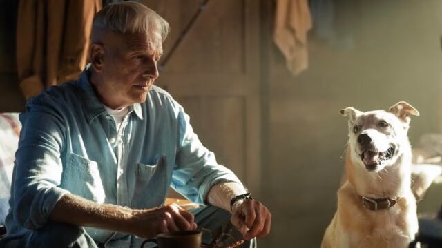 Il boss di NCIS: Origins parla della nuova pericolosa missione di Gibbs nel 2026 Il boss di NCIS: Origins parla della nuova pericolosa missione di Gibbs nel 2026