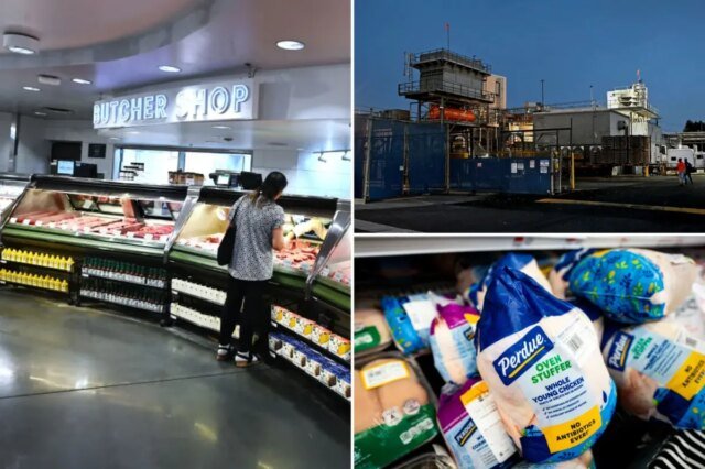 Il pollo “365” con marchio privato di Whole Foods proviene da stabilimenti Perdue con problemi di salmonella: rapporto