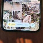 Google Foto ti consente finalmente di ripulire la scheda Raccolte disordinata. Ecco come