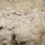La più grande perdita settimanale in sei anni poiché l’indicatore scende per la settima settimana