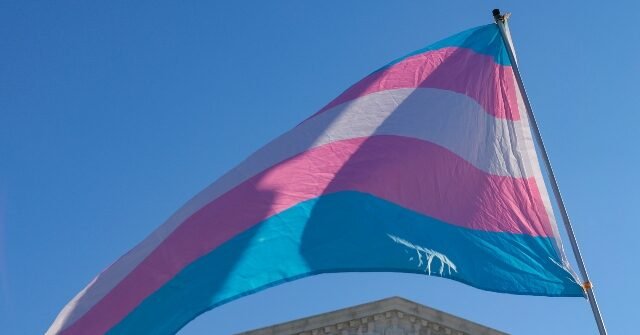 L’amministrazione Trump chiede alla Corte Suprema di rimuovere le esenzioni per i transgender nelle carceri L’amministrazione Trump chiede alla Corte Suprema di rimuovere le esenzioni per i transgender nelle carceri